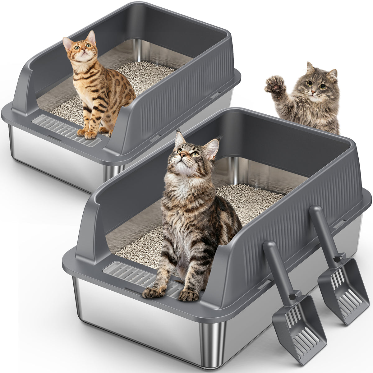 Two cat litter boxes with cats interacting, including a scoop on a white background