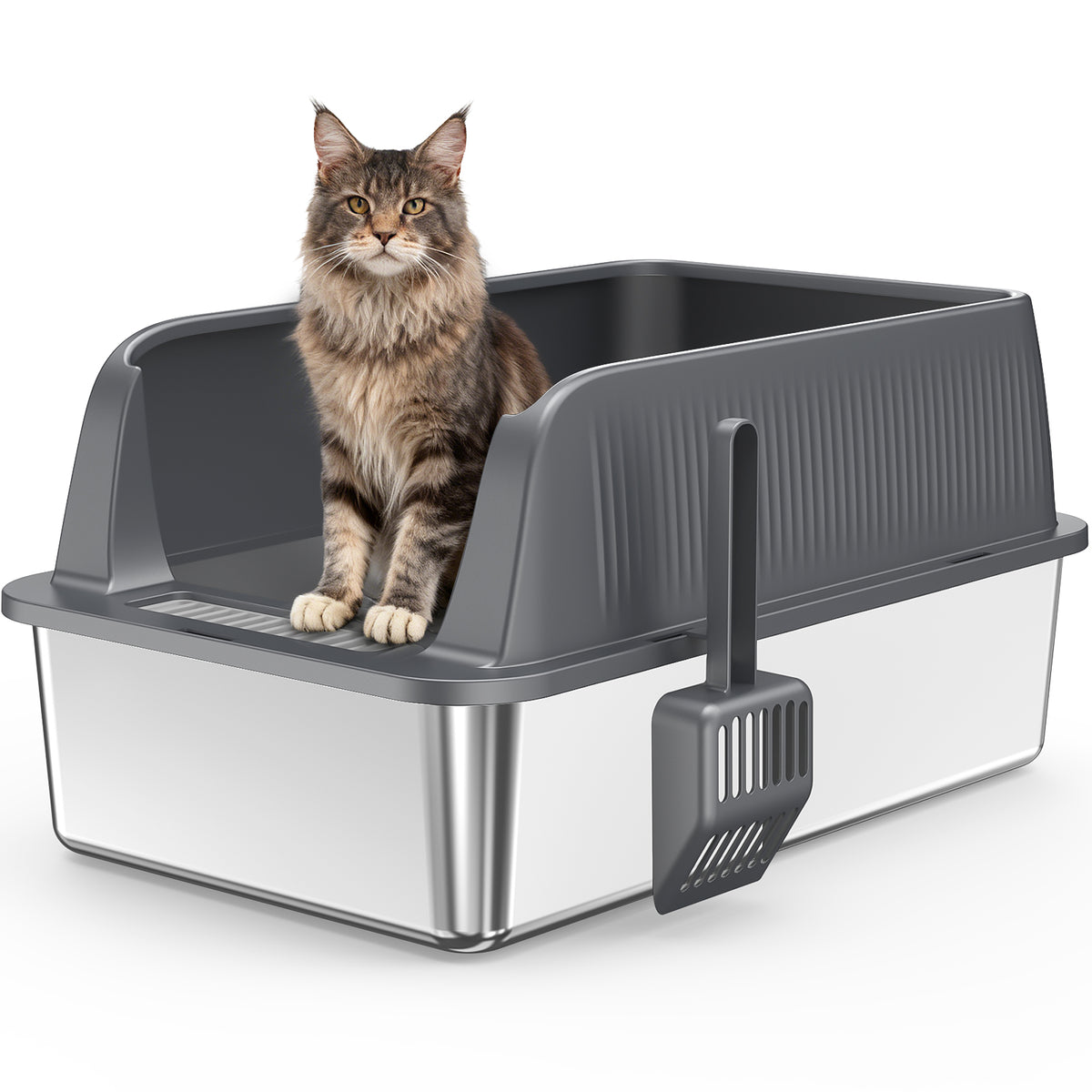 A cat litter box with cat, including a scoop on a white background
